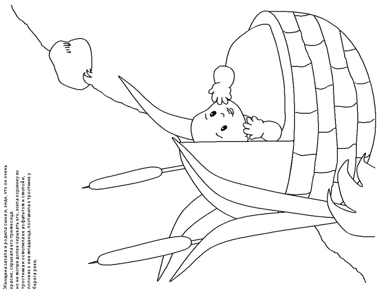 Женщина зачала и родила сына и, видя, что он очень красив, скрывала его три